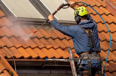 Démoussage et hydrofuge de toiture à Riboux